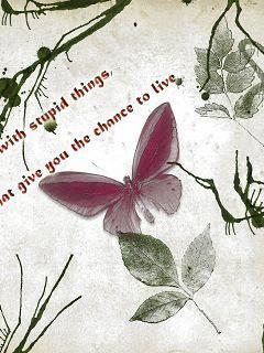 һ��һ�������˹�